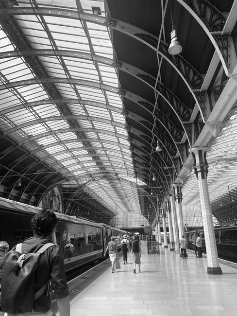 Inside a large train station with high, curved glass and metal roof structure, supported by ornate columns, with bright natural light illuminating the platform area. Several passengers, some carrying backpacks and others pulling luggage, walk along the tiled floor towards waiting trains on either side of the platform. A Paddington Man and Van crew member, dressed in casual clothing, is visible near a partially loaded van or moving vehicle parked close to the platform, possibly preparing for a home relocation or furniture transport as part of their moving services. The scene captures the bustling atmosphere typical of a busy travel hub, highlighting the logistics involved in packing, loading, and transporting household items during relocation processes.